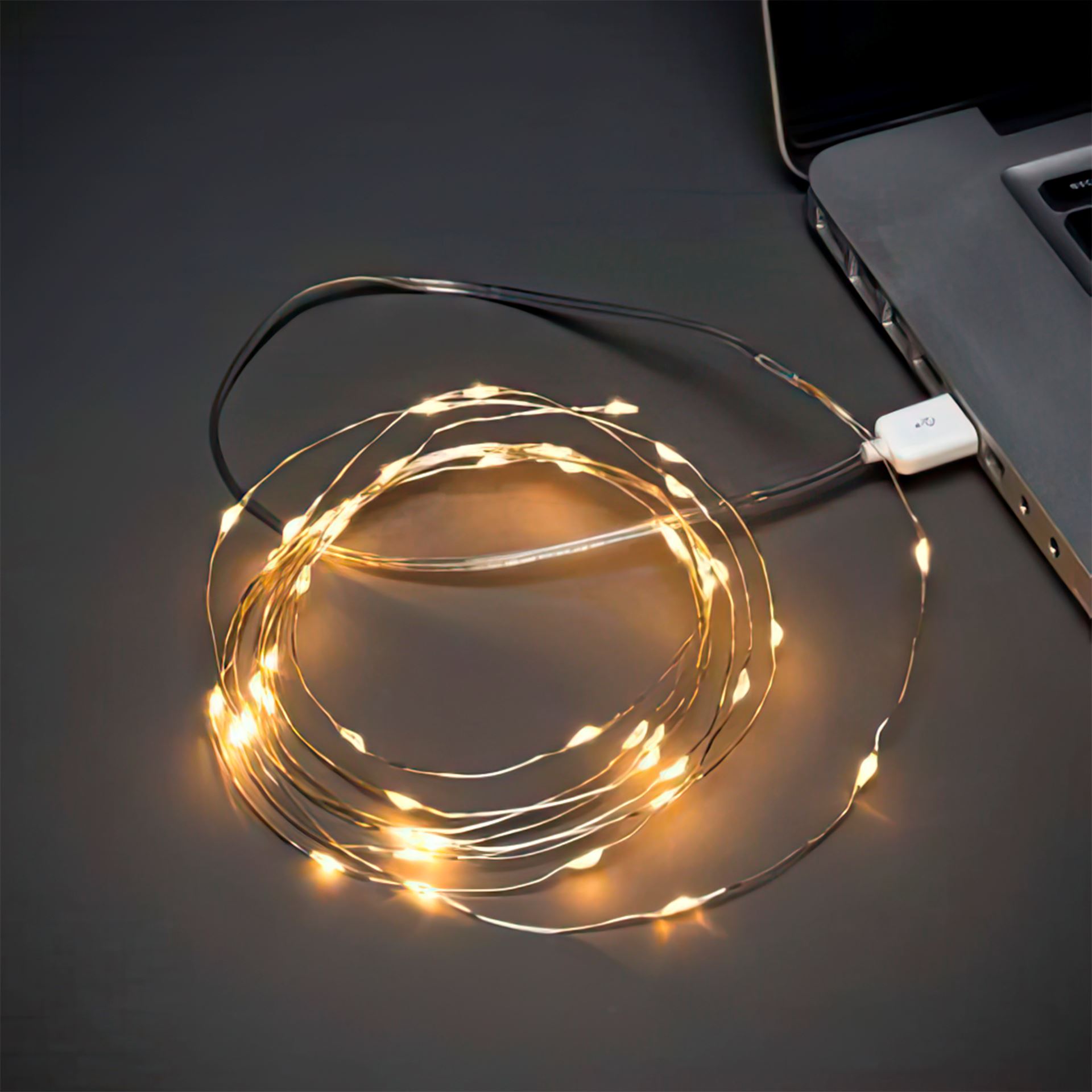 Світлодіодна USB LED гірлянда Xmas «Роса» 10 метрів (К-217)